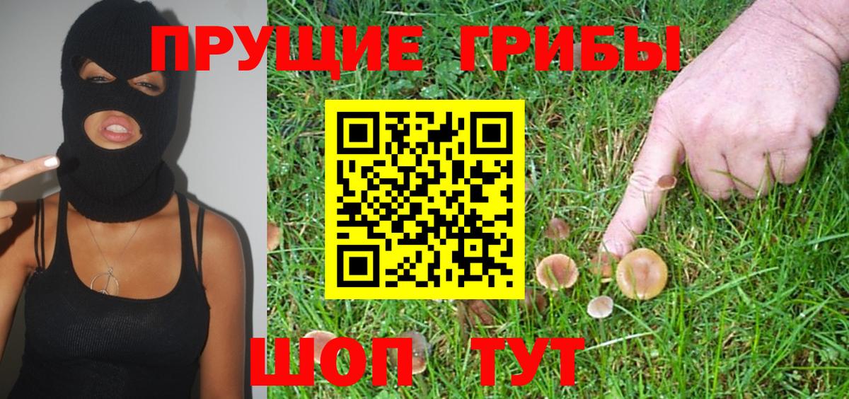 Псилоцибиновые грибы Magic Shrooms Ступино